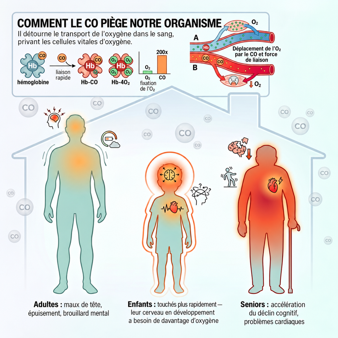 Infographie : comment le monoxyde de carbone prend la place de l'oxygène dans le sang, et ses effets chez l'adulte, l'enfant et la personne âgée.